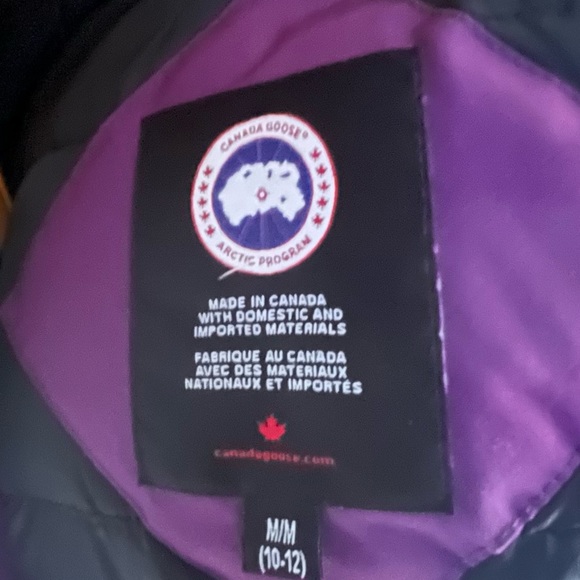 Purple Canada Goose - Picture 5 of 8